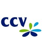 Ccv